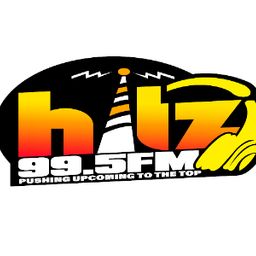 Website preview